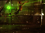 The Gift - Enhanced VFX Shot