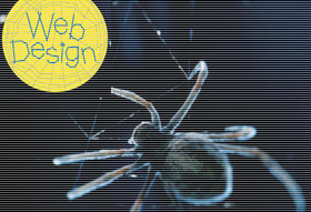 chWebDesignCGWdec06.jpg